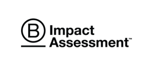 B Impact Assessment